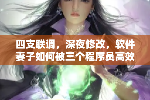 四支联调，深夜修改，软件妻子如何被三个程序员高效伺候