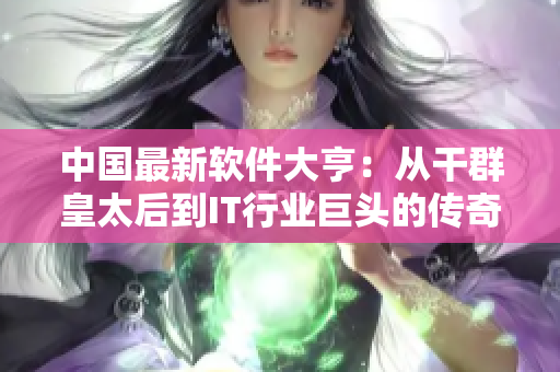 中国最新软件大亨：从干群皇太后到IT行业巨头的传奇故事