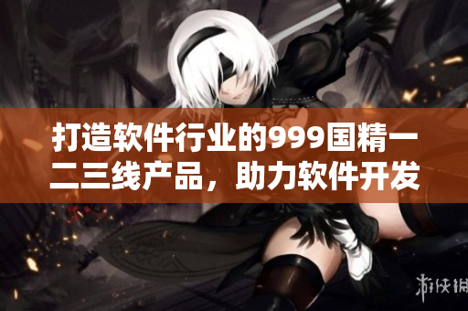 打造软件行业的999国精一二三线产品，助力软件开发提升质量！