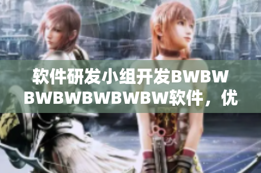 软件研发小组开发BWBWBWBWBWBWBW软件，优化用户体验与性能
