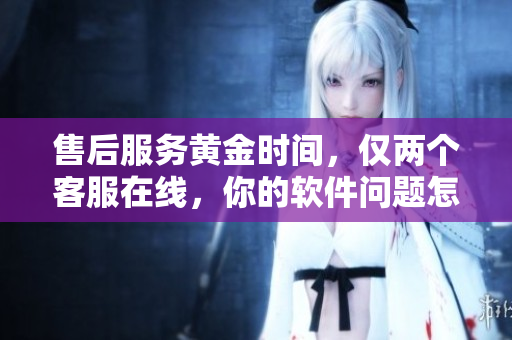 售后服务黄金时间，仅两个客服在线，你的软件问题怎么办？