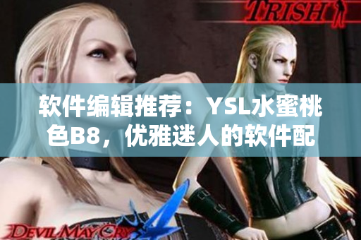 软件编辑推荐：YSL水蜜桃色B8，优雅迷人的软件配色方案