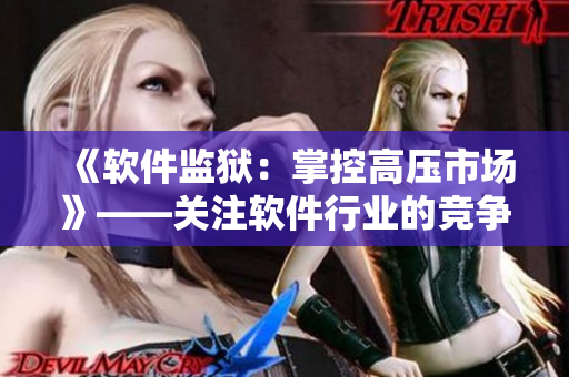 《软件监狱：掌控高压市场》——关注软件行业的竞争态势与监管挑战