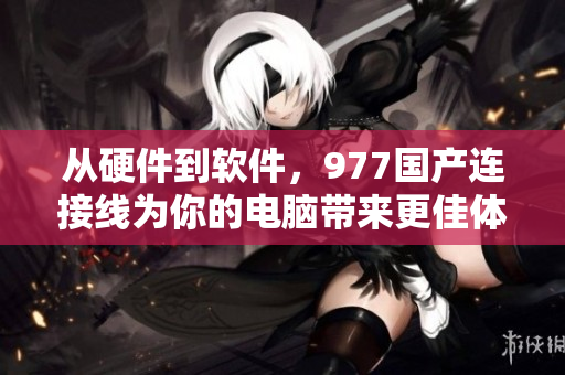 从硬件到软件，977国产连接线为你的电脑带来更佳体验