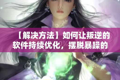 【解决方法】如何让叛逆的软件持续优化，摆脱暴躁的代码？