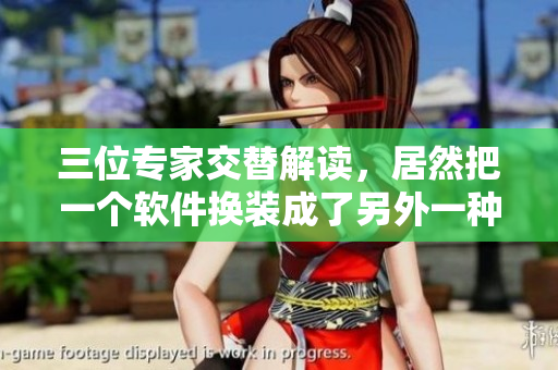 三位专家交替解读，居然把一个软件换装成了另外一种产品！
