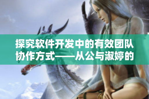 探究软件开发中的有效团队协作方式——从公与淑婷的角度看