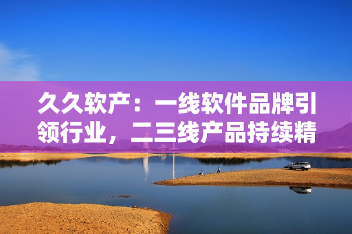 久久软产：一线软件品牌引领行业，二三线产品持续精益求精！
