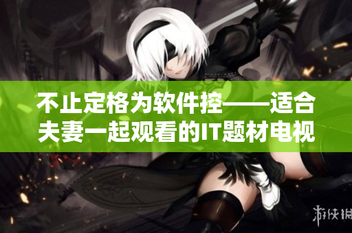 不止定格为软件控——适合夫妻一起观看的IT题材电视剧