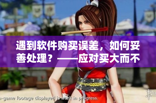 遇到软件购买误差，如何妥善处理？——应对买大而不买小的方法及建议