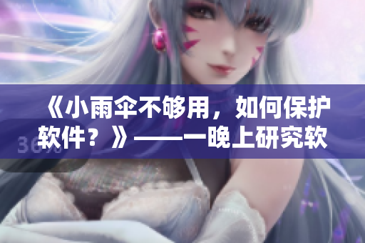 《小雨伞不够用，如何保护软件？》——一晚上研究软件保护技巧