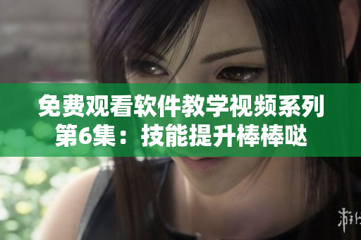 免费观看软件教学视频系列第6集：技能提升棒棒哒