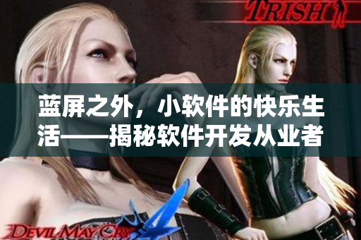 蓝屏之外，小软件的快乐生活——揭秘软件开发从业者的工作与生活