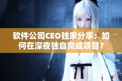 软件公司CEO独家分享：如何在深夜独自完成项目？