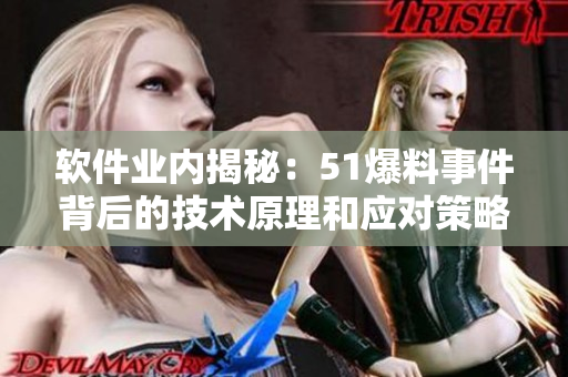 软件业内揭秘：51爆料事件背后的技术原理和应对策略