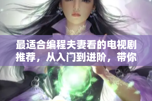 最适合编程夫妻看的电视剧推荐，从入门到进阶，带你探索编程世界！