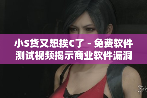 小S货又想挨C了 - 免费软件测试视频揭示商业软件漏洞