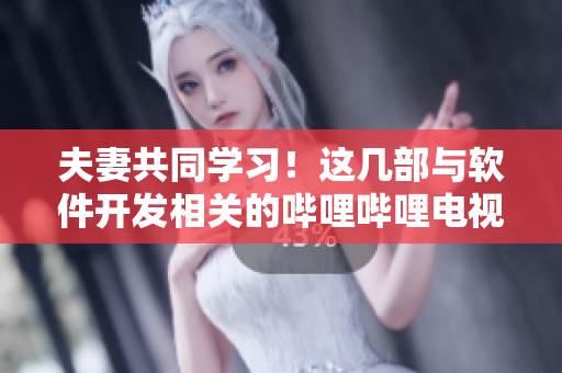 夫妻共同学习！这几部与软件开发相关的哔哩哔哩电视剧必看！