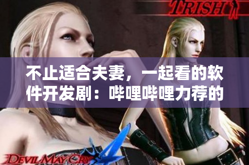 不止适合夫妻，一起看的软件开发剧：哔哩哔哩力荐的电视剧推荐