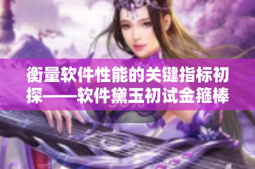 衡量软件性能的关键指标初探——软件黛玉初试金箍棒