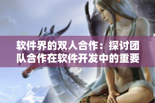 软件界的双人合作：探讨团队合作在软件开发中的重要性