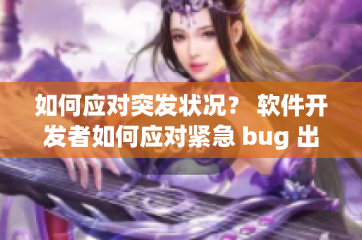 如何应对突发状况？ 软件开发者如何应对紧急 bug 出现？