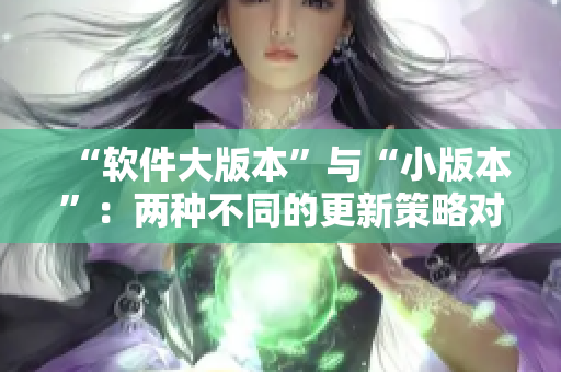 “软件大版本”与“小版本”：两种不同的更新策略对比分析