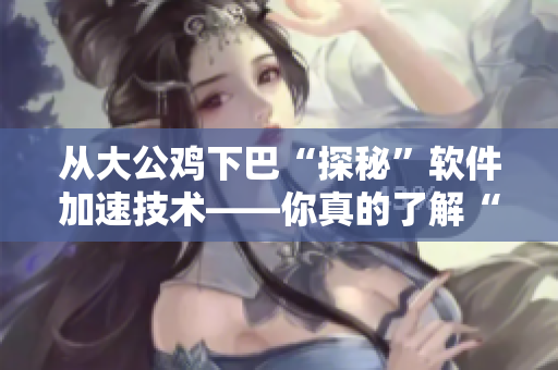从大公鸡下巴“探秘”软件加速技术——你真的了解“双倍加速器”吗？