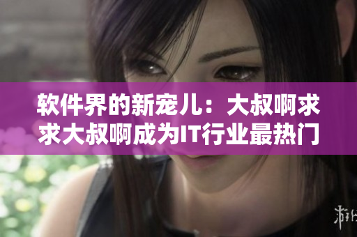 软件界的新宠儿：大叔啊求求大叔啊成为IT行业最热门歌曲！