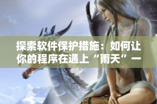 探索软件保护措施：如何让你的程序在遇上“雨天”一样安全