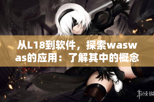 从L18到软件，探索waswas的应用：了解其中的概念、特点及发展前景