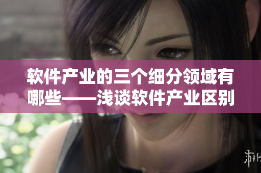 软件产业的三个细分领域有哪些——浅谈软件产业区别与发展趋势