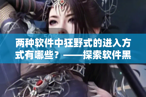 两种软件中狂野式的进入方式有哪些？——探索软件黑科技
