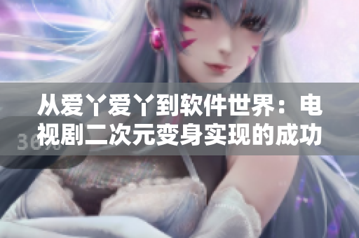 从爱丫爱丫到软件世界：电视剧二次元变身实现的成功之路