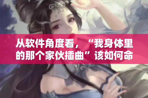 从软件角度看，“我身体里的那个家伙插曲”该如何命名？