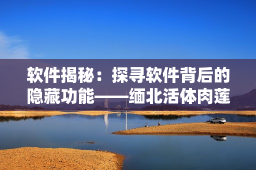 软件揭秘：探寻软件背后的隐藏功能——缅北活体肉莲的意义是什么