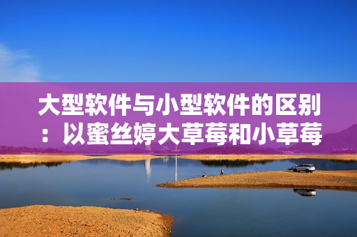 大型软件与小型软件的区别：以蜜丝婷大草莓和小草莓为例的对比