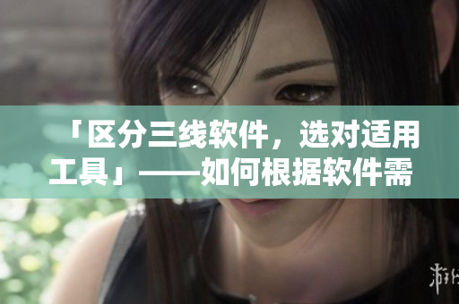 「区分三线软件，选对适用工具」——如何根据软件需求选择最优解决方案。
