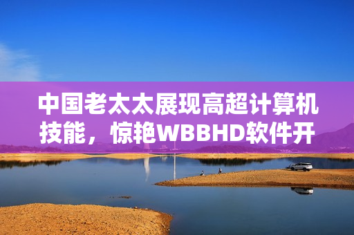 中国老太太展现高超计算机技能，惊艳WBBHD软件开发团队