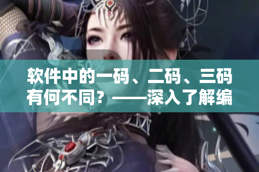 软件中的一码、二码、三码有何不同？——深入了解编码方式的优缺点