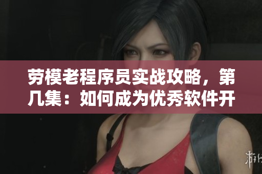 劳模老程序员实战攻略，第几集：如何成为优秀软件开发者？