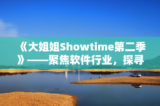 《大姐姐Showtime第二季》——聚焦软件行业，探寻技术创新之路！