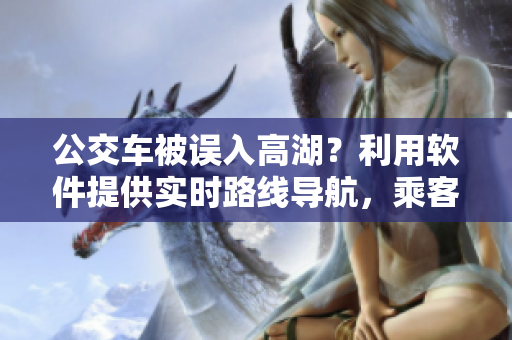 公交车被误入高湖？利用软件提供实时路线导航，乘客方便快捷上下车