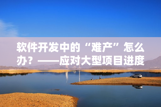 软件开发中的“难产”怎么办？——应对大型项目进度延误的方法
