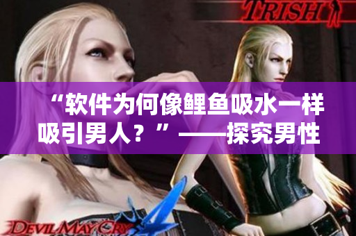 “软件为何像鲤鱼吸水一样吸引男人？”——探究男性用户对软件的心理需求