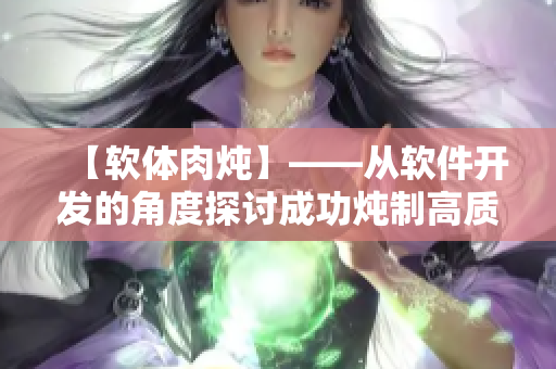 【软体肉炖】——从软件开发的角度探讨成功炖制高质量软件的秘诀