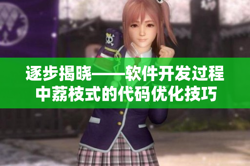 逐步揭晓——软件开发过程中荔枝式的代码优化技巧
