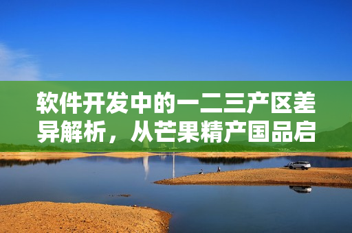 软件开发中的一二三产区差异解析，从芒果精产国品启发