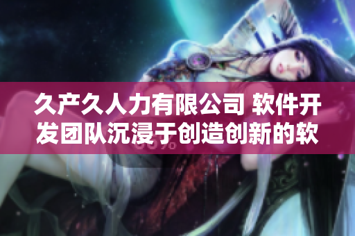 久产久人力有限公司 软件开发团队沉浸于创造创新的软件开发工作中