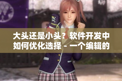 大头还是小头？软件开发中如何优化选择 - 一个编辑的经验分享